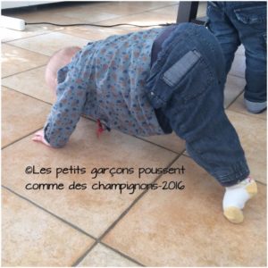 Motricité libre