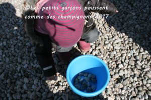 land art : la récolte