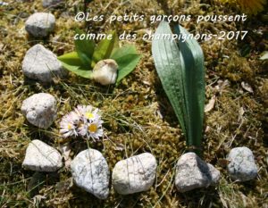 land art oeuvre