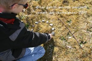 land art création
