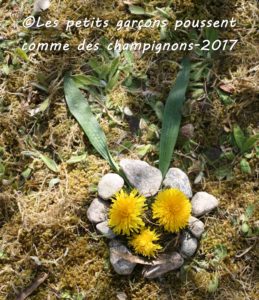land art oeuvre