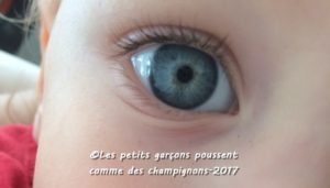 Lait maternel conjonctivite