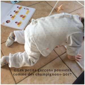 relaxation comme un lion