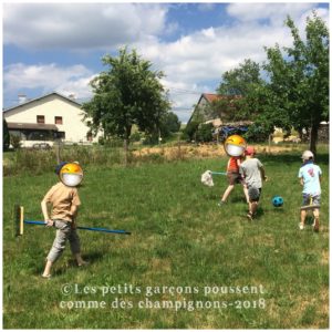Anniversaire Harry Potter quidditch