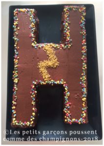 Anniversaire Harry Potter le gâteau