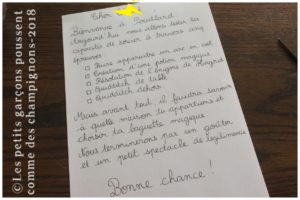 Anniversaire Harry Potter la lettre
