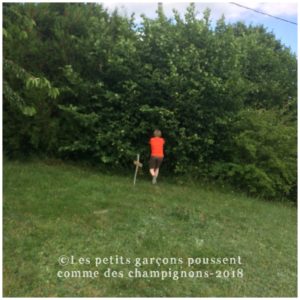 Anniversaire Harry Potter la forêt interdite