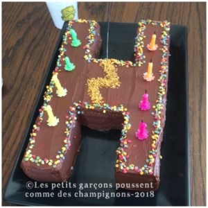 Anniversaire Harry Potter le gâteau