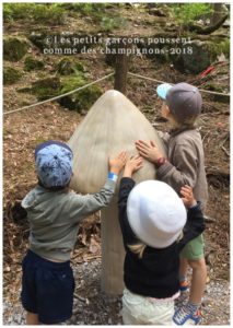champignons le bois des lutins