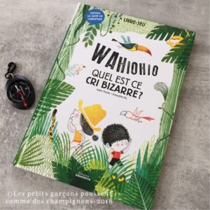 livre jeu aventure