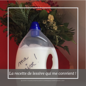 Lessive maison
