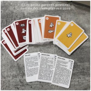 les cartes de la mini nomade