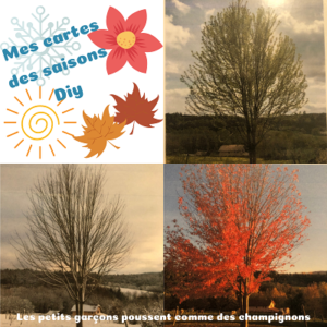 LES CARTES DES SAISONS