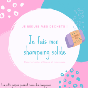 shampoing solide recette