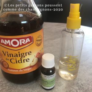 ma recette démêlant